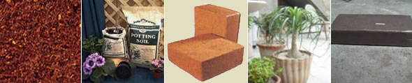 Washed Cocopeat - Double Washed Cocopeat (Fine Grade)